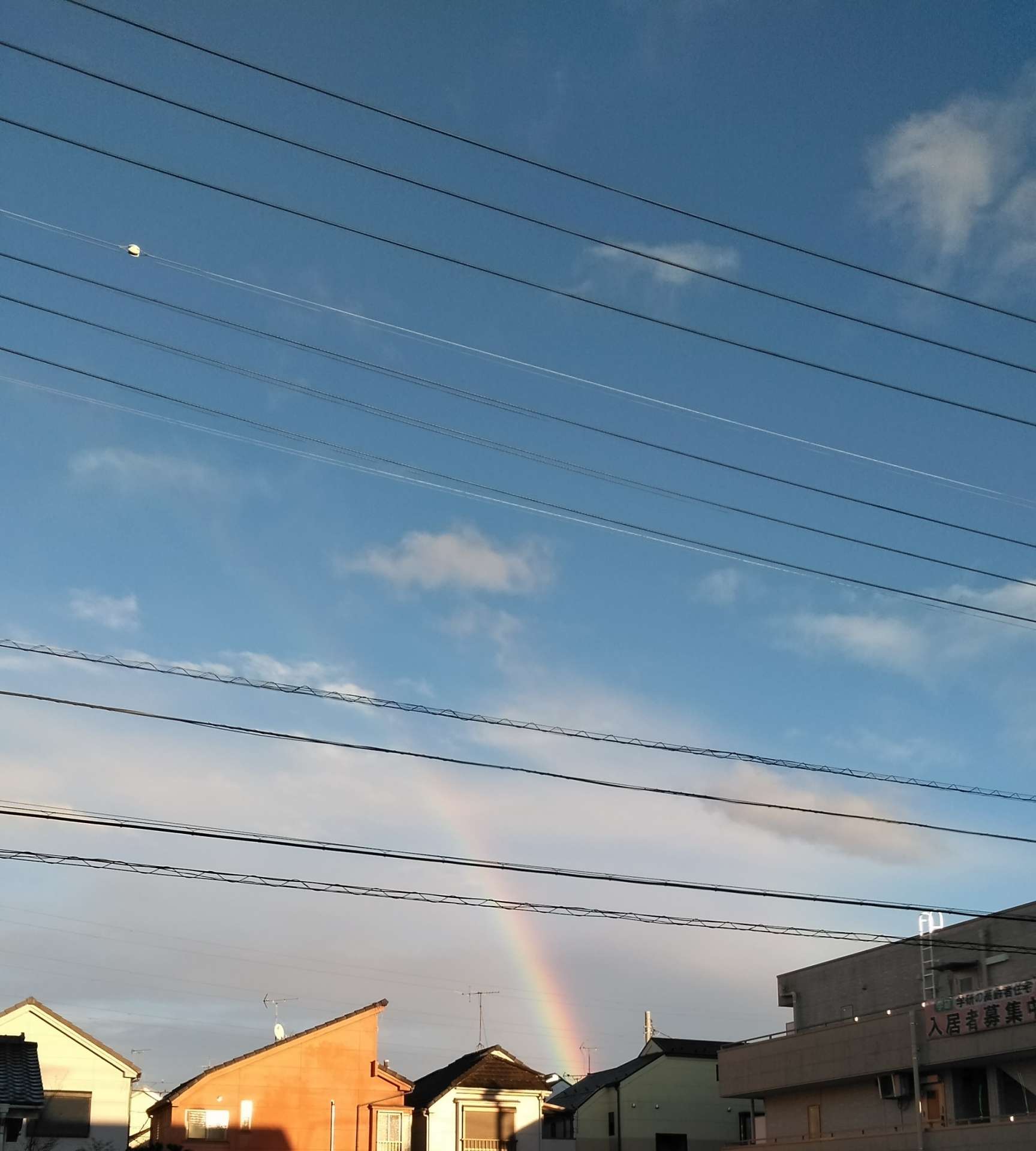 キレイな虹ですよ！